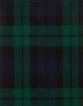 Women-Black-Watch-Tartan-Kilt2