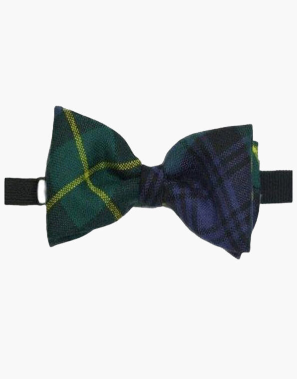 Gordon Modern Tartan Bow Tie